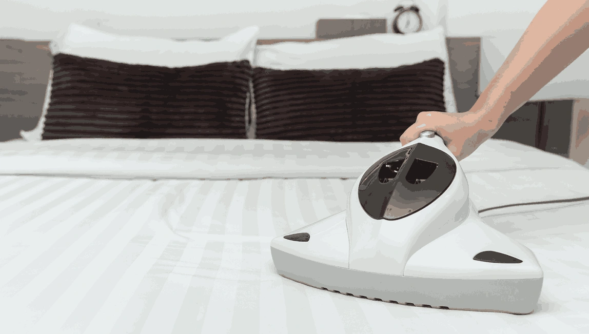 Professional Mattress Cleaning Plenty